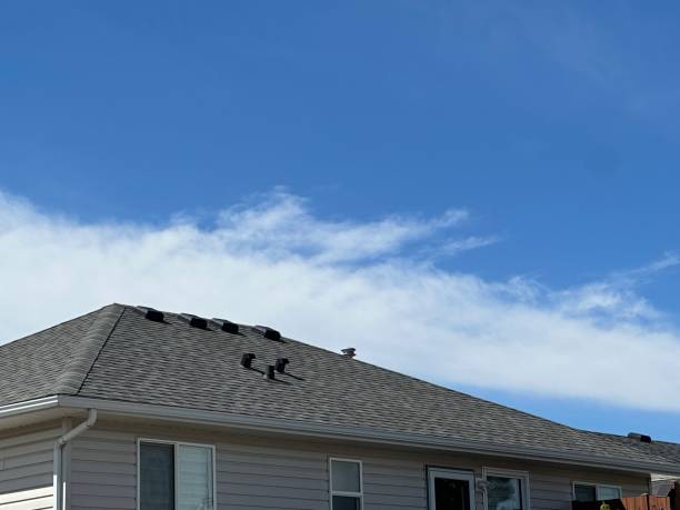 Best Roof Maintenance and Cleaning  in Long Beach, MD